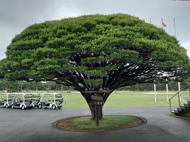 Ohtone Country Club - Photo 10
