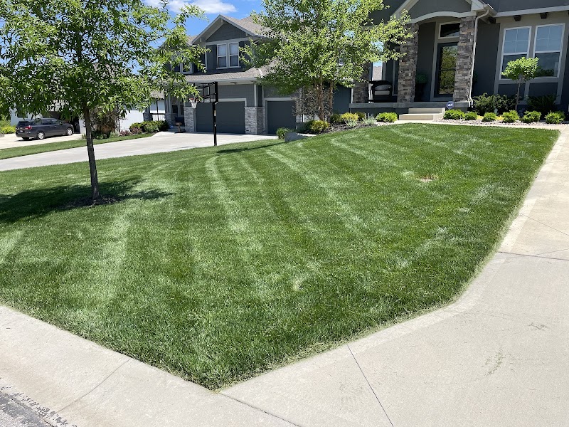 The Lawn Cypress