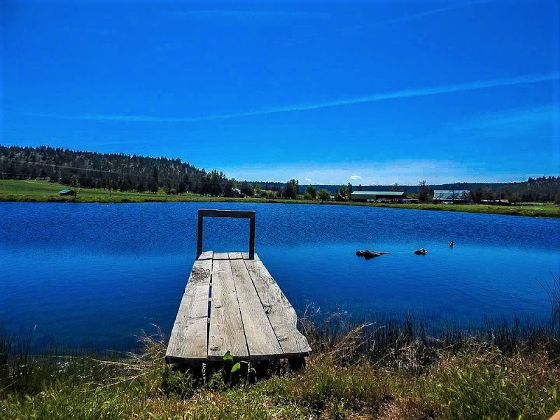 The Long Hollow Ranch - Photo 4