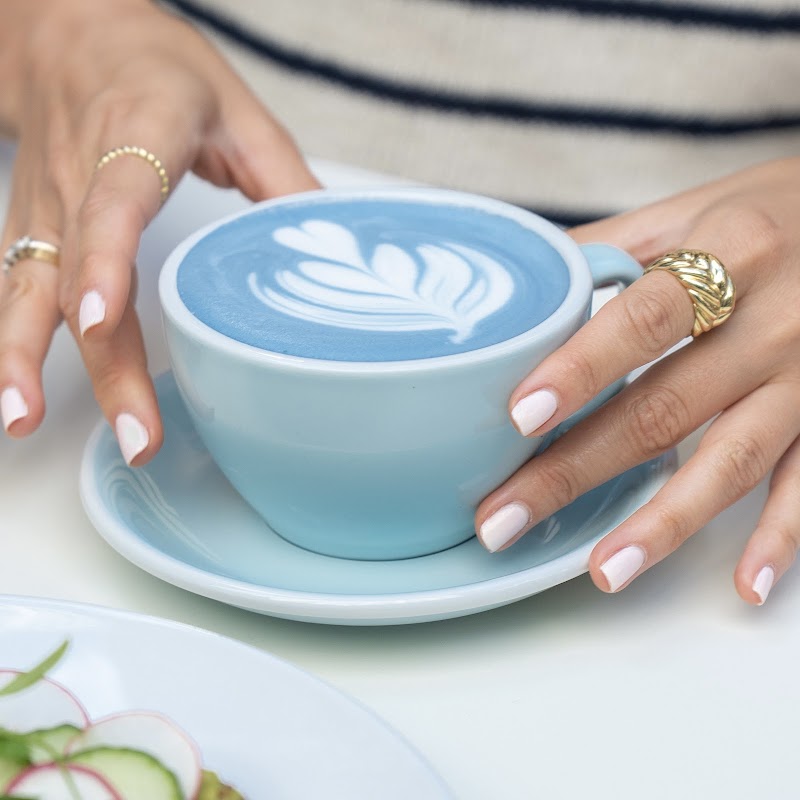 Pura Vida Miami photo 4