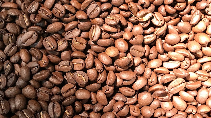 Red Whale Coffee photo 2