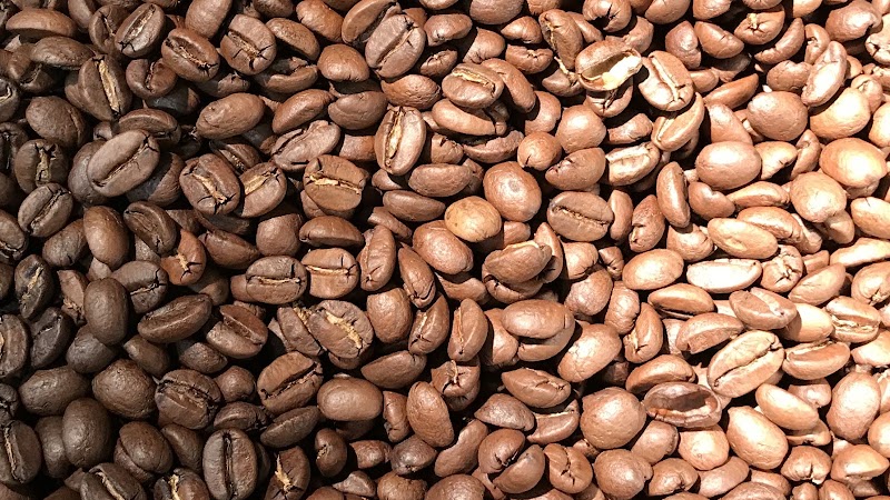 Red Whale Coffee photo 2