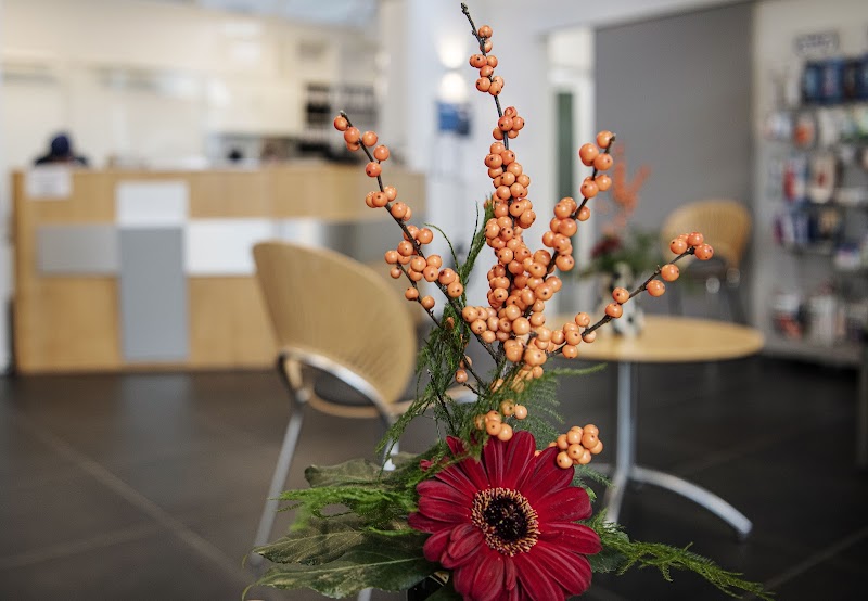 Brædstrup Implantatcenter - billede 5