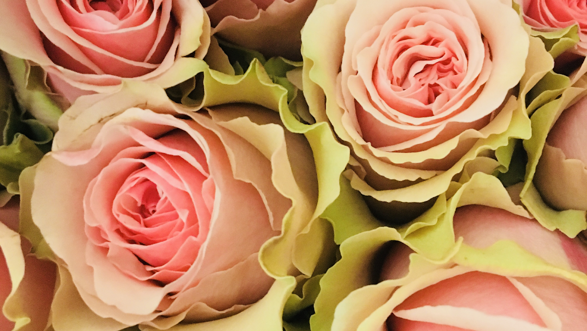 Marie's Florals: Google Places image 2