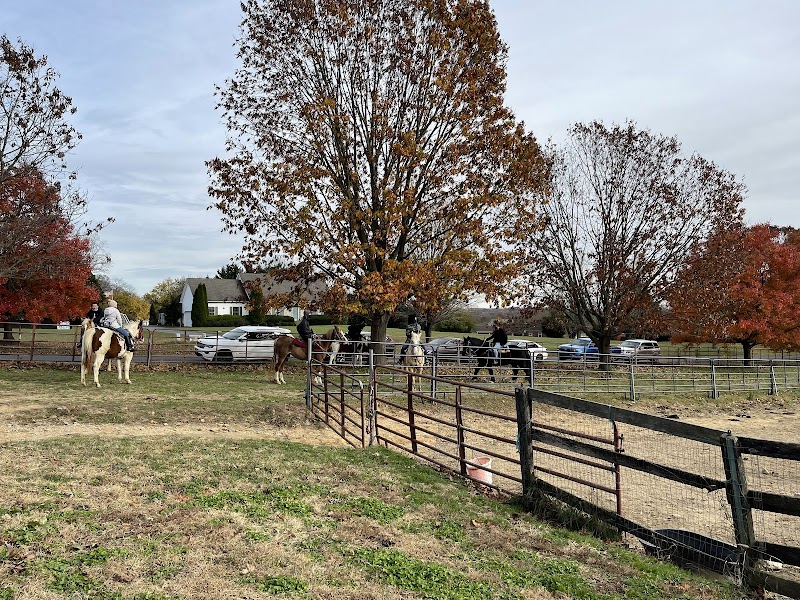 Painted horse ranch - Photo 5
