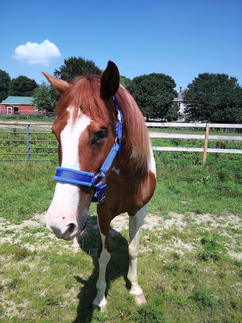 Painted horse ranch - Photo 4