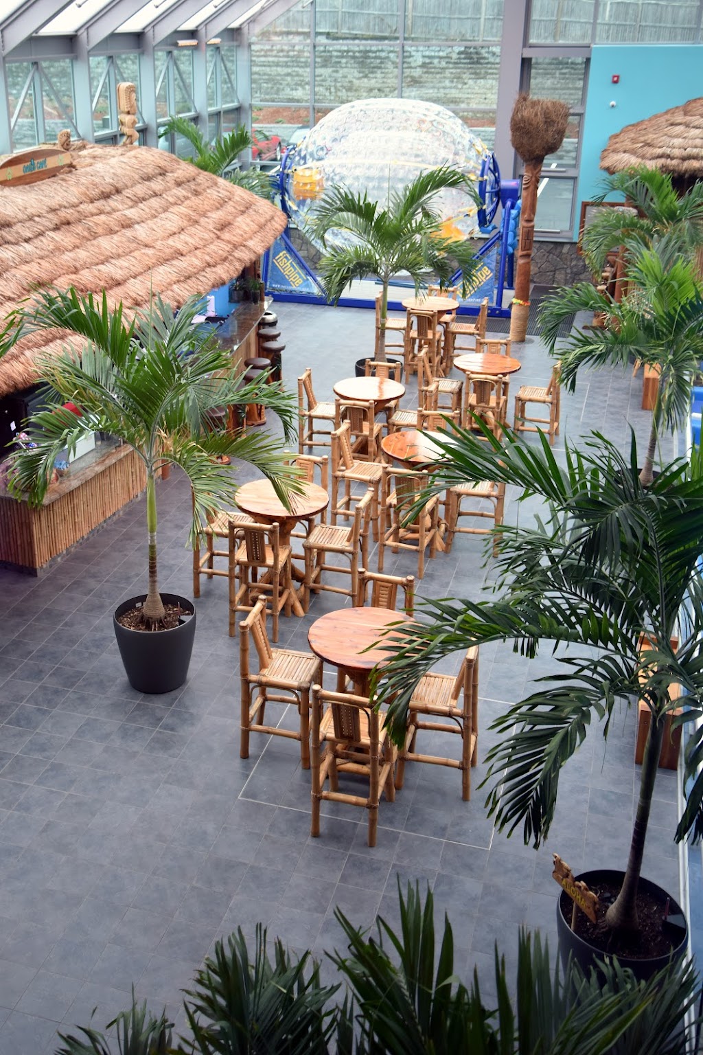 Oasis Cafe