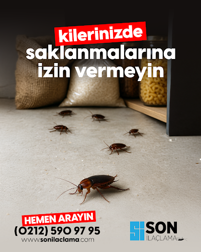 SON İLAÇLAMA HAŞERE VE BÖCEK İLAÇLAMA ŞİRKETİ - Temizlik