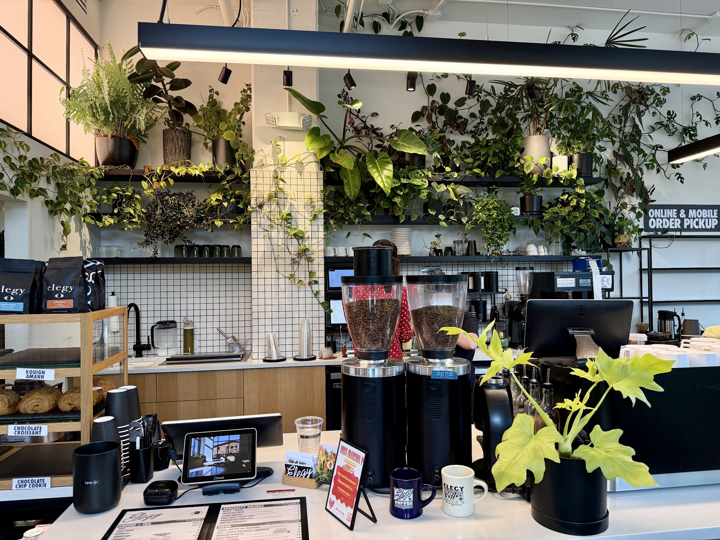 Elegy Coffee WeHo - Photo 3
