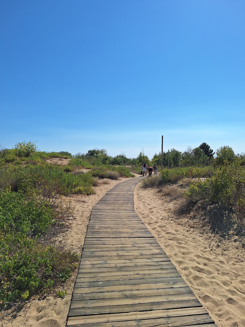 Wild sand dunes Sunny Beach