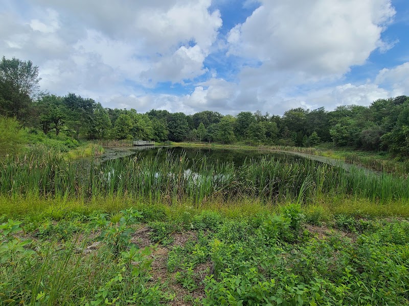 Giles Run Meadow @ Laurel Hill Park photo 3