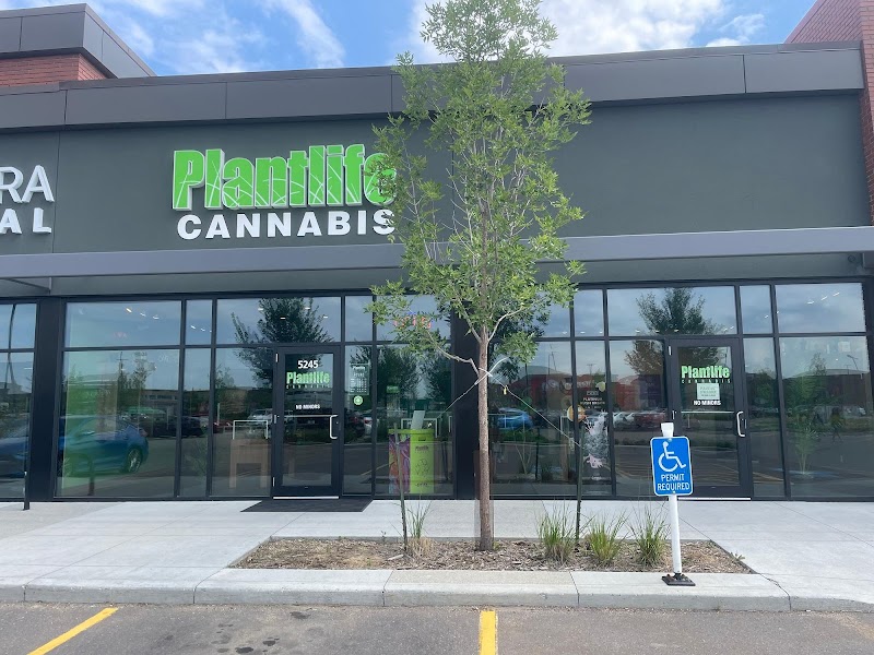 Plantlife Cannabis
