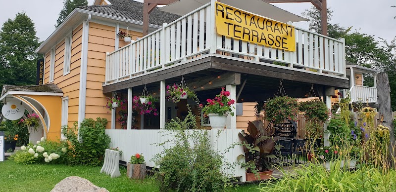 Café Giallo photo 2