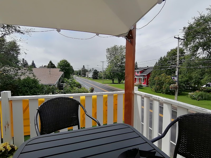 Café Giallo photo 4