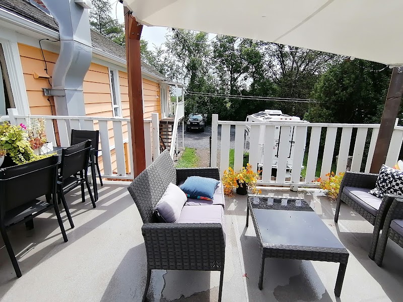 Café Giallo photo 1