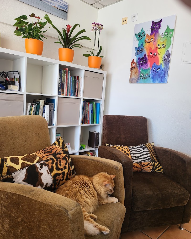 Clínica veterinaria Mascotas