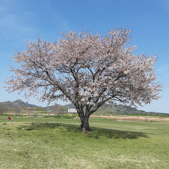 Ashikaga Watarase Golf Course - Photo 9