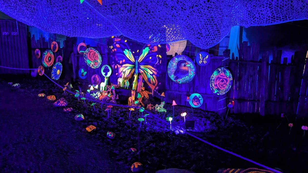 Forest of Light at Beamish Hall