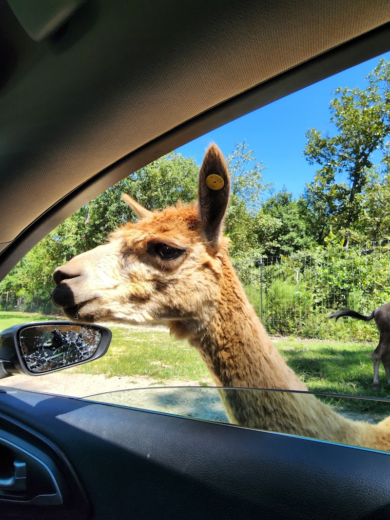 Eudora Wildlife Safari Park - Photo 4