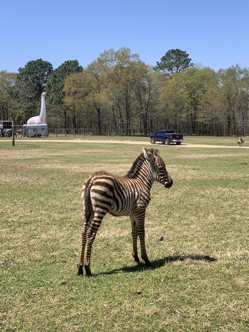 Eudora Wildlife Safari Park - Photo 2