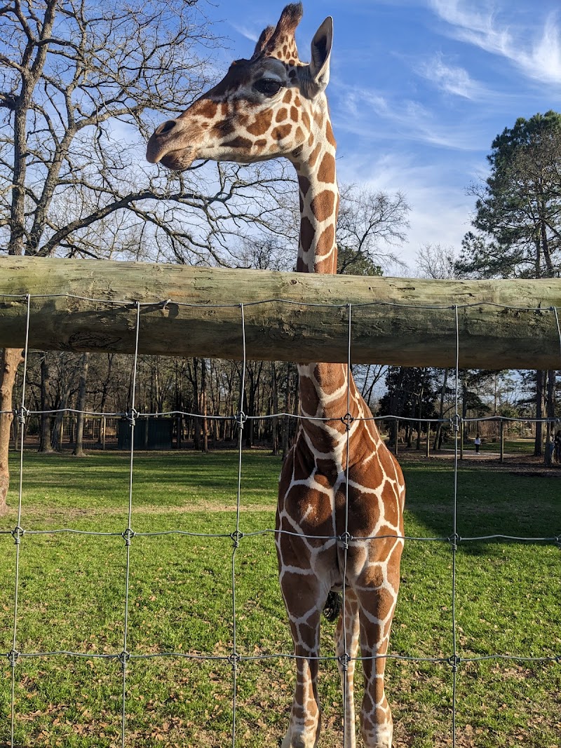 Eudora Wildlife Safari Park - Photo 1