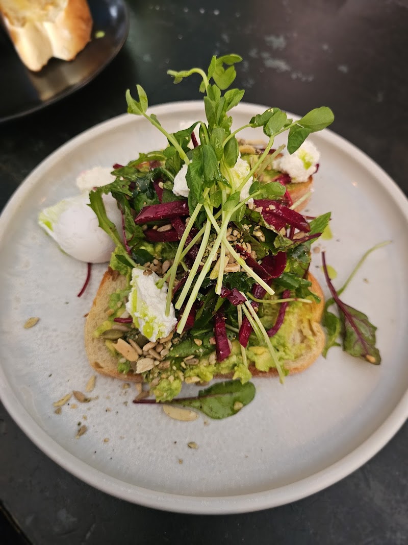 Little Sisto photo 7