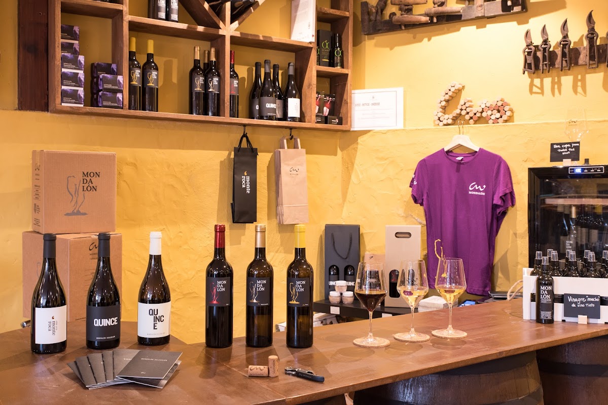 Wine Tasting in Agaete