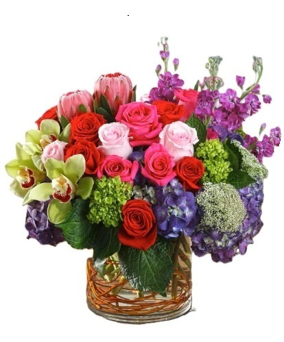 North Star Blooms: Google Places image 3