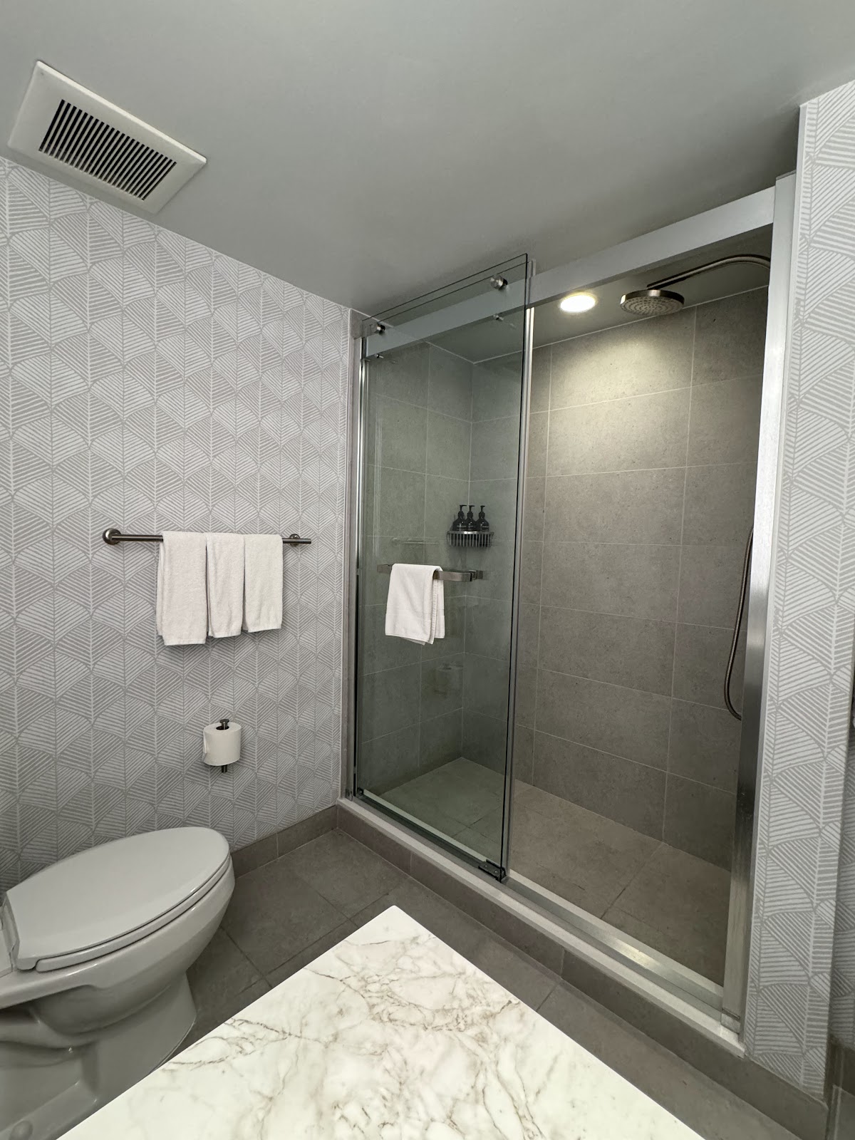 Viewline Resort Snowmass, Autograph Collection, dog-friendly hotel, photo 4