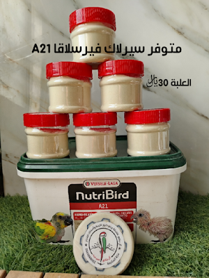 أبوخالد آل جامع فندقة وبيع مستلزمات الطيور(لايوجد طيور) (المتجر بيت)