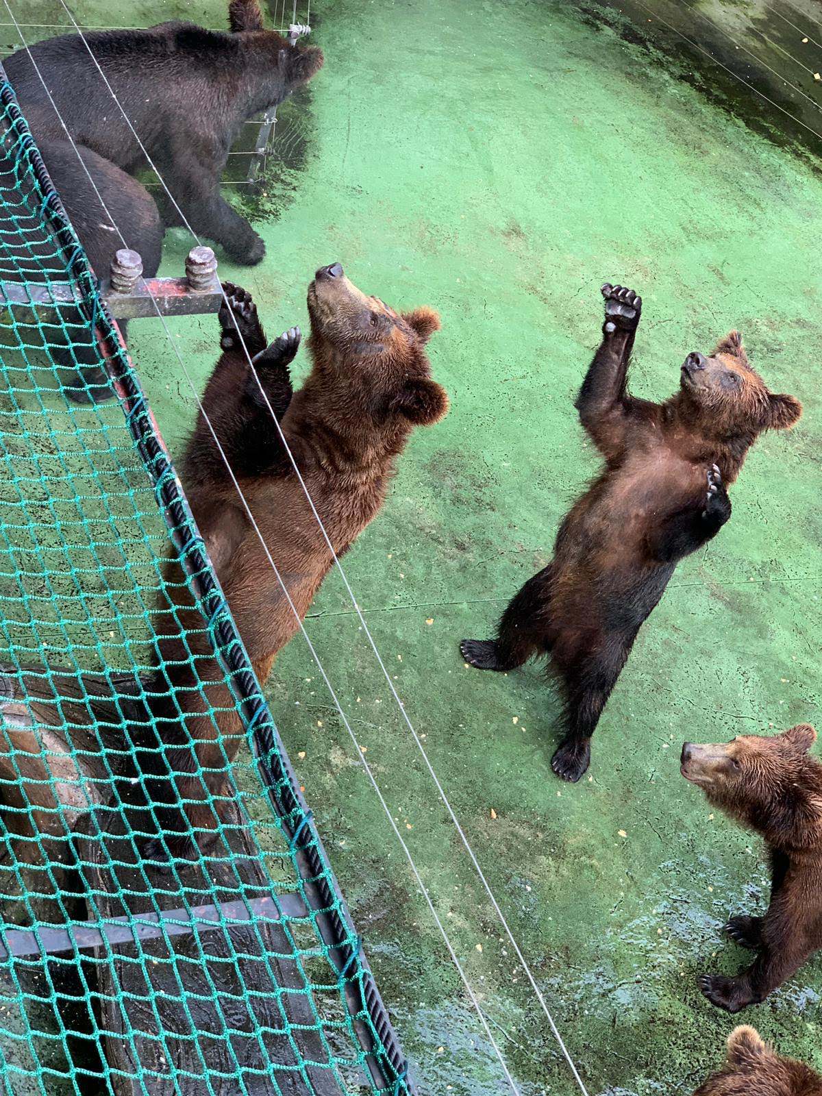 Shenzhen Wild Animal Zoo （West Gate）