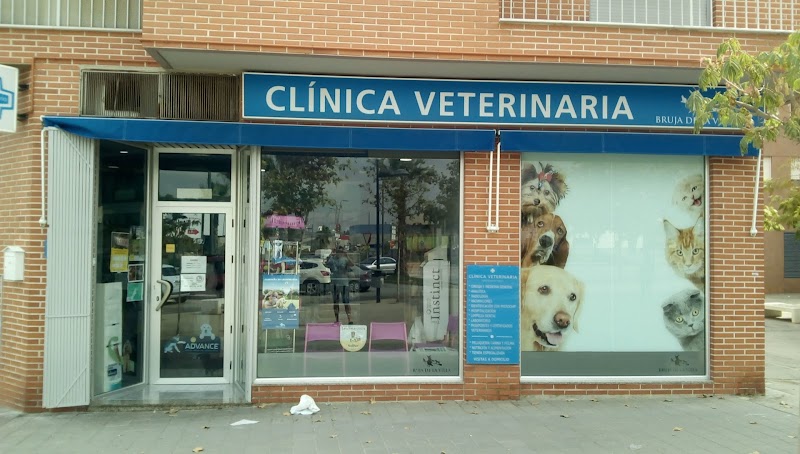 CLINICA VETERINARIA BRUJA DE LA VILLA