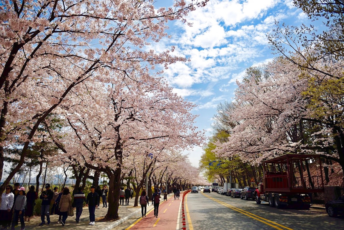Yeouido Hangang Park