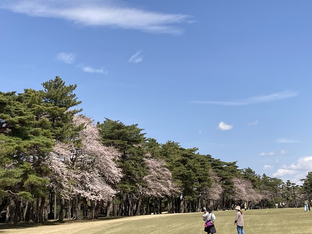 Abiko Golf Club - Photo 7