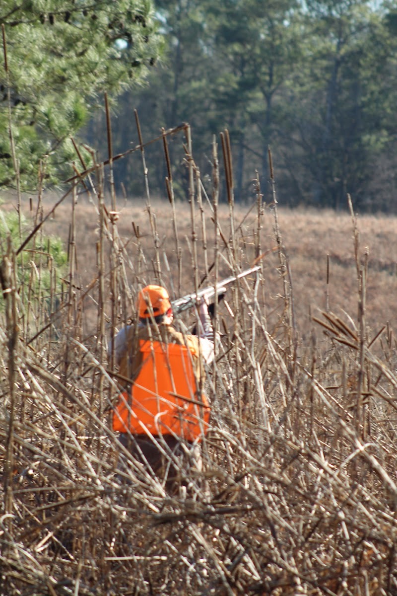 Buckeyes Plantation - Photo 1