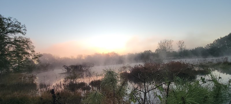 Buckeyes Plantation - Photo 4