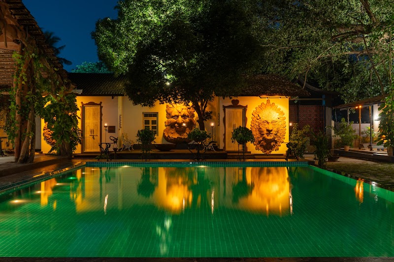 Calizz: что важно знать перед визитом