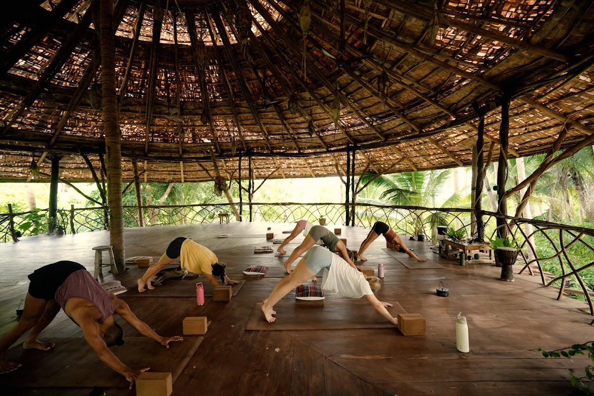 DRYFT | WELL Yoga Retreat — 4