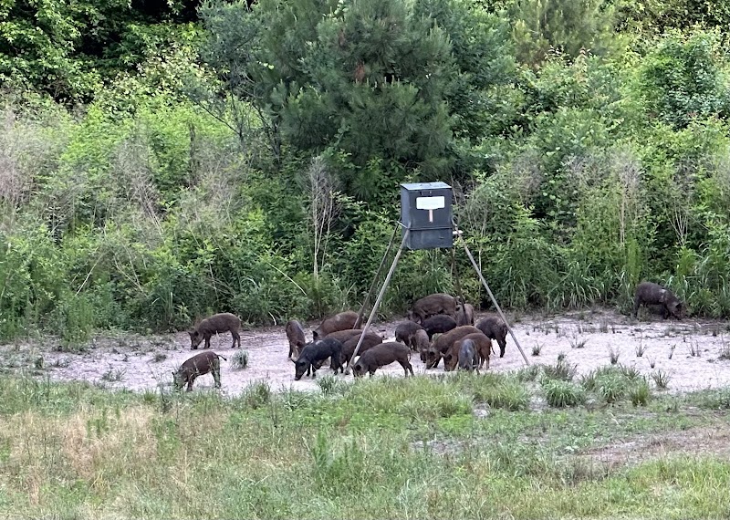 Williams Hunting - Photo 6