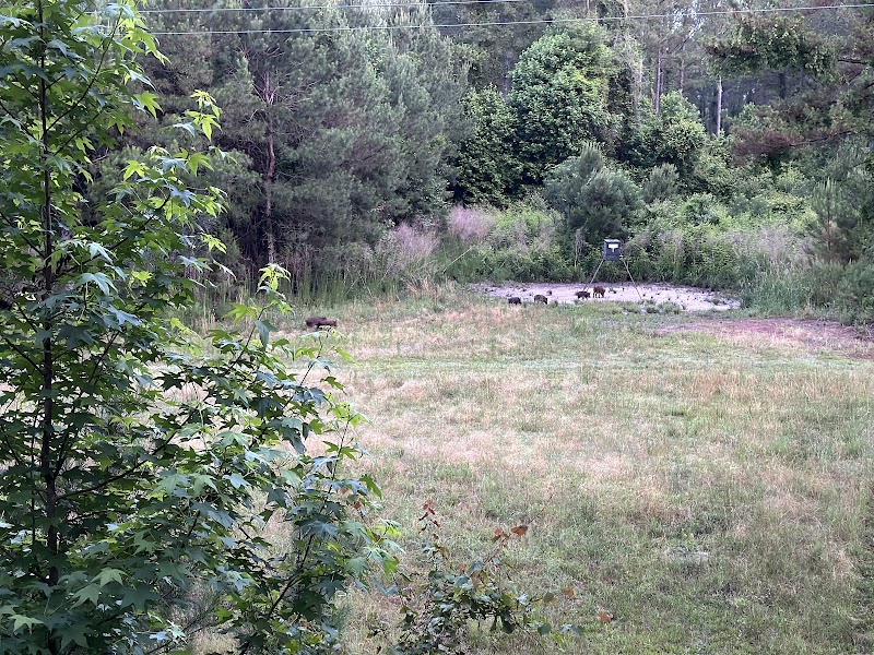Williams Hunting - Photo 4