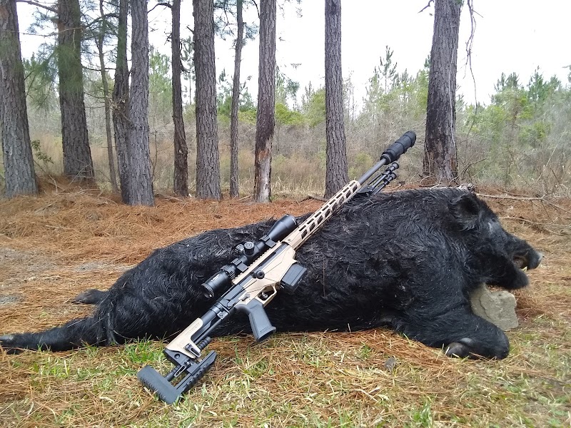 Williams Hunting - Photo 3