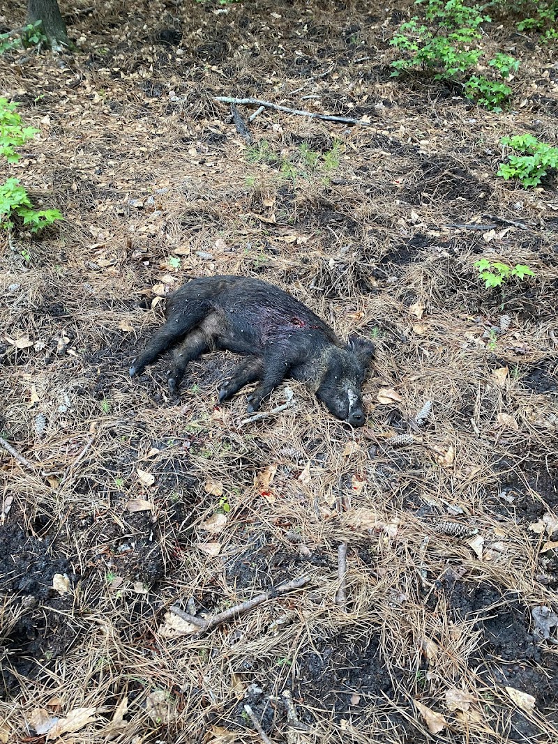 Williams Hunting - Photo 1