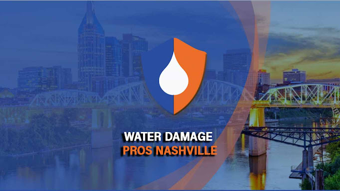 Water Damage Pros TN — photo