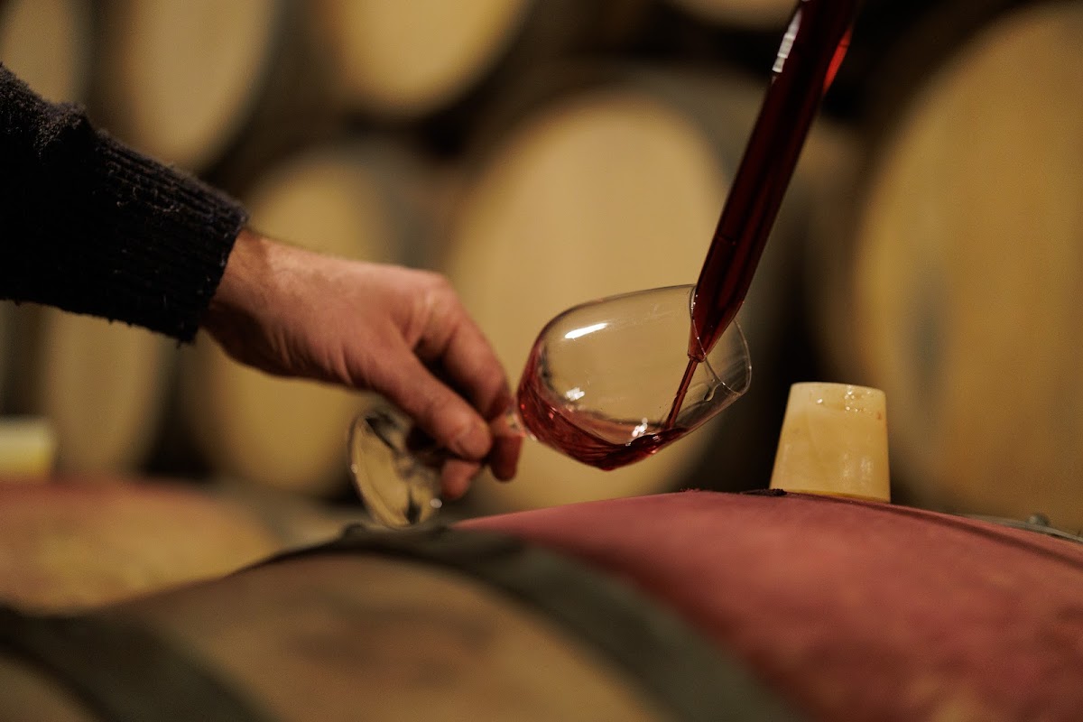 Domaine LEJEUNE - POMMARD