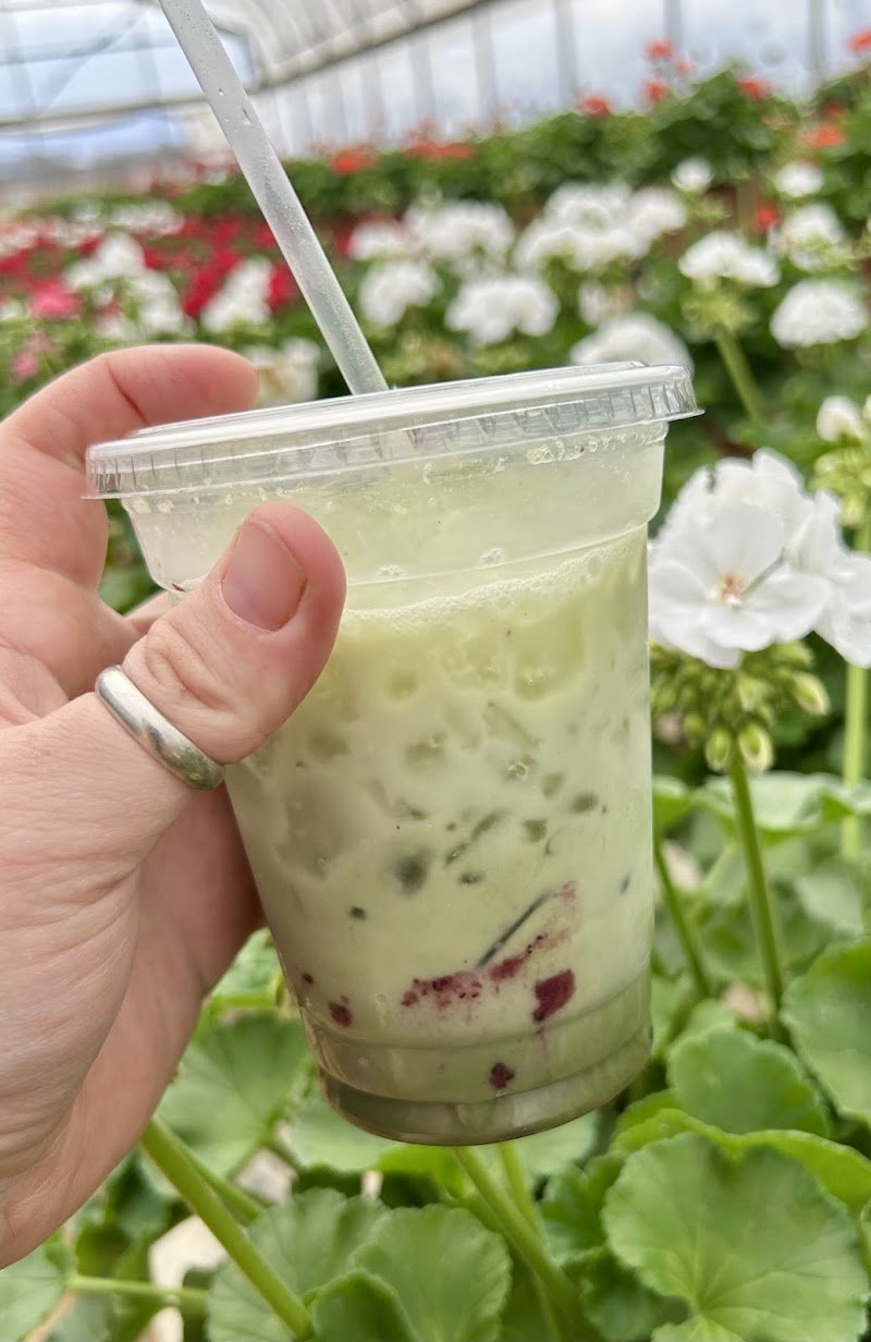 Extraction Specialty Coffee photo 4