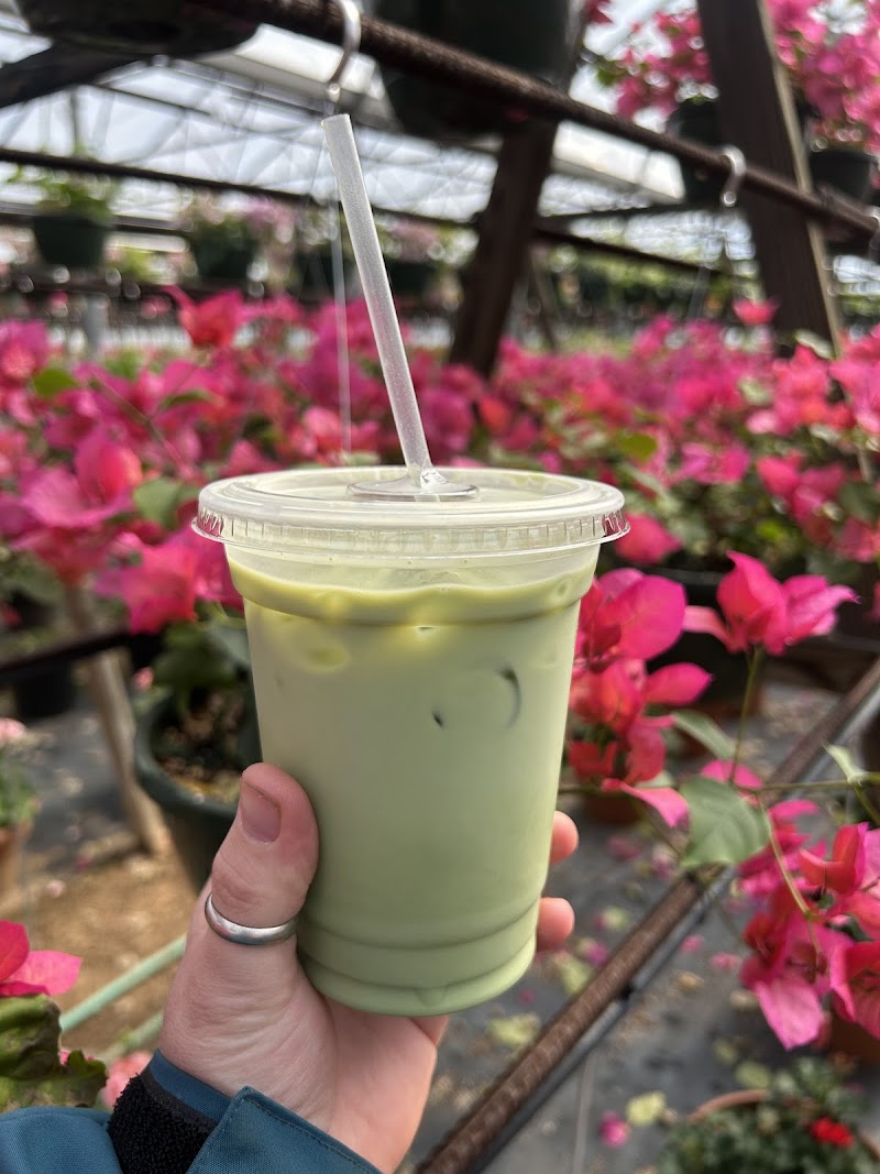 Extraction Specialty Coffee photo 3