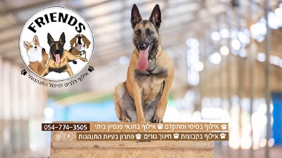 שמואל מישייב Friends אילוף כלבים