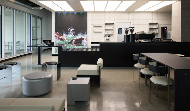 Archives Of Us photo 1