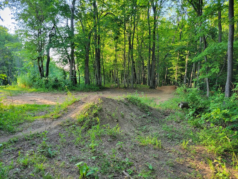 Rotary Park Disc Golf Course photo 1