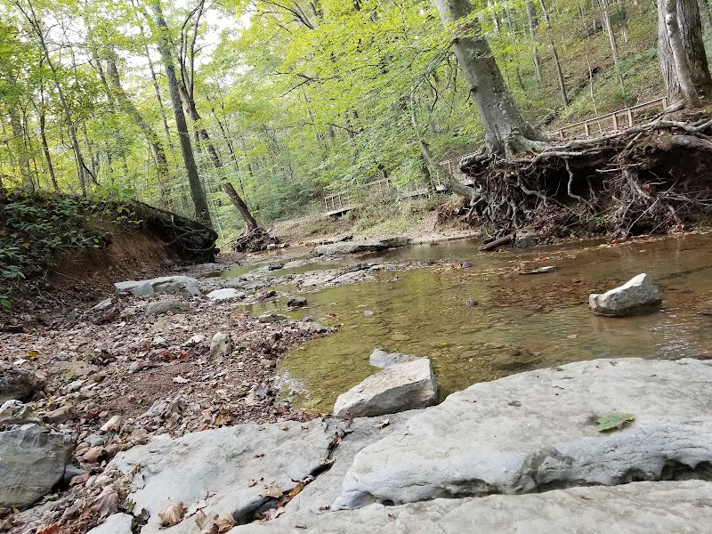 Rotary Park Disc Golf Course photo 4